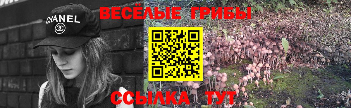 Галлюциногенные грибы мухоморы  Вход с VPN  Кимры 